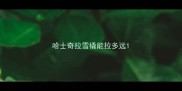 哈士奇拉雪橇能拉多远