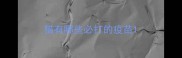 猫有哪些必打的疫苗