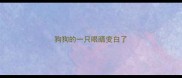 狗狗的一只眼睛变白了