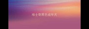 哈士奇黑色成年犬