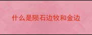 什么是陨石边牧和金边