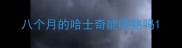 八个月的哈士奇能喂熟吗