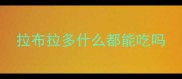 拉布拉多什么都能吃吗
