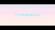 三个月萨摩拉稀怎么办