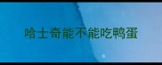 哈士奇能不能吃鸭蛋