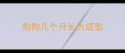 狗狗几个月长大成型