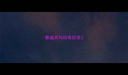 泰迪犬与拉布拉多