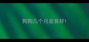 狗狗几个月发育好
