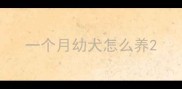 一个月幼犬怎么养