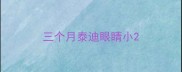 三个月泰迪眼睛小
