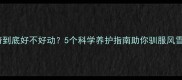 哈士奇到底好不好动5个科学养护指南助你驯服风雪极光