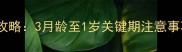 小藏獒幼犬打疫苗全攻略3月龄至1岁关键期注意事项附疫苗时间表