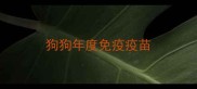 狗狗年度免疫疫苗