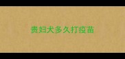 贵妇犬多久打疫苗
