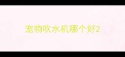 宠物吹水机哪个好