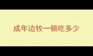 成年边牧一顿吃多少