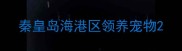 秦皇岛海港区领养宠物