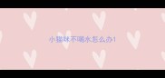 小猫咪不喝水怎么办