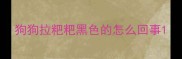 狗狗拉粑粑黑色的怎么回事
