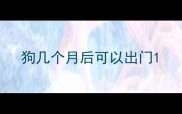 狗几个月后可以出门