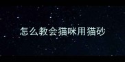 怎么教会猫咪用猫砂
