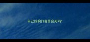 自己给狗打疫苗会死吗