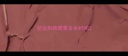 空运狗狗需要多长时间