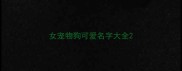 女宠物狗可爱名字大全