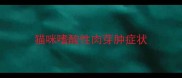 猫咪嗜酸性肉芽肿症状
