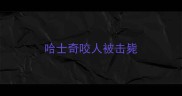 哈士奇咬人被击毙