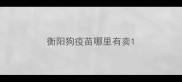 衡阳狗疫苗哪里有卖