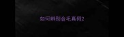 如何辨别金毛真假