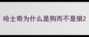 哈士奇为什么是狗而不是狼