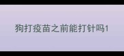 狗打疫苗之前能打针吗