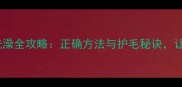 拉布拉多冬天洗澡全攻略正确方法与护毛秘诀让爱犬温暖过冬