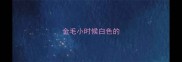 金毛小时候白色的