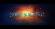 拉布拉多配种照片