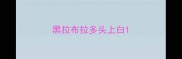 黑拉布拉多头上白