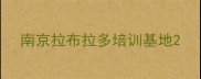 南京拉布拉多培训基地