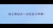 哈士奇幼犬一次吃多少苹果