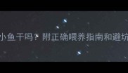 猫咪能吃小鱼干吗附正确喂养指南和避坑攻略