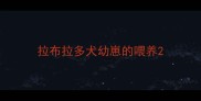 拉布拉多犬幼崽的喂养
