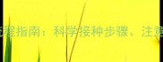 宠物四联疫苗全流程指南科学接种步骤注意事项与常见问题