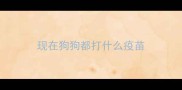 现在狗狗都打什么疫苗