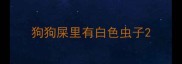狗狗屎里有白色虫子