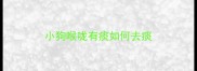 小狗喉咙有痰如何去痰
