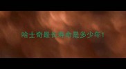 哈士奇最长寿命是多少年