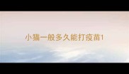 小猫一般多久能打疫苗
