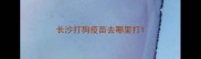 长沙打狗疫苗去哪里打