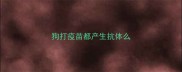 狗打疫苗都产生抗体么